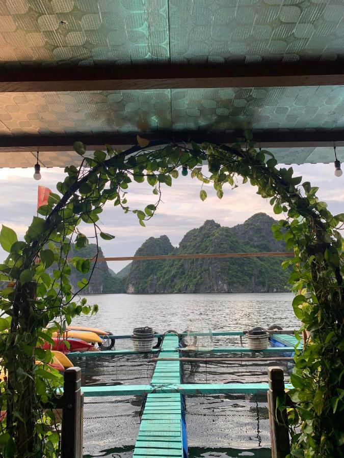 Eco Floating Farm Stay Cai Beo Chan Chau ภายนอก รูปภาพ